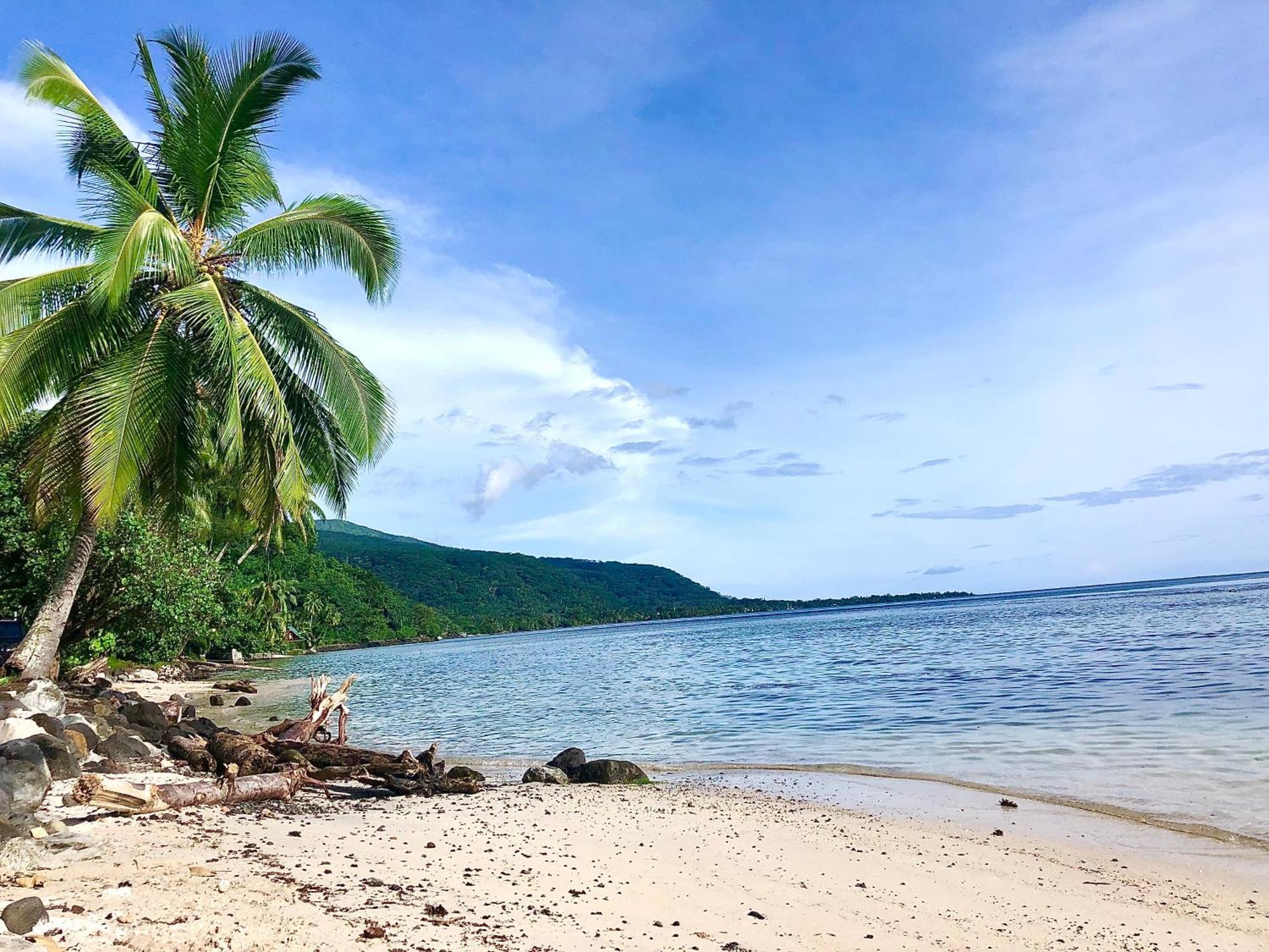 Maui Homestay Vue Ocean Exceptionnelle & Baleines En Saison Tohautu 外观 照片