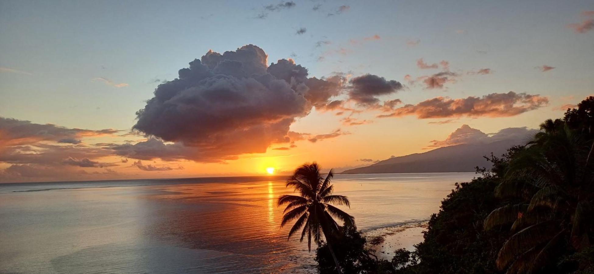 Maui Homestay Vue Ocean Exceptionnelle & Baleines En Saison Tohautu 外观 照片